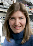 Viviana Gradinaru