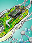 Biological Circuits