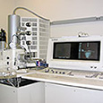 Field Emission Scanning Electron Microscope