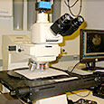Optical Microscope