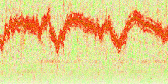 Mathematical Signal Processing
