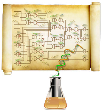 Molecular Programming