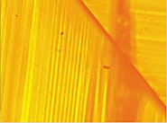 ferroelectric material