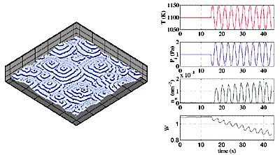 pattern of ferroelectric material barium titanate