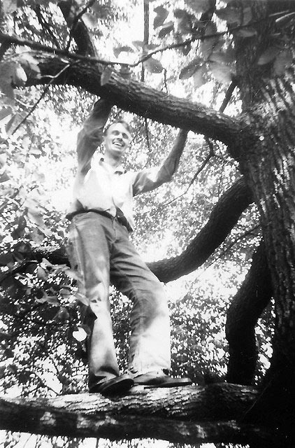 Francis Clauser preparing to build the most beautiful home in Maryland's Green Spring Valley, around this giant gum tree.