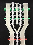 A 3-D–printed logic gate with bistable elements linked together by springs to transmit signals. Credit: Dennis Kochmann/Caltech