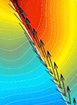 Thrust Vault Dynamics